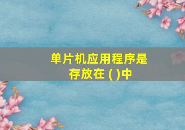 单片机应用程序是存放在 ( )中